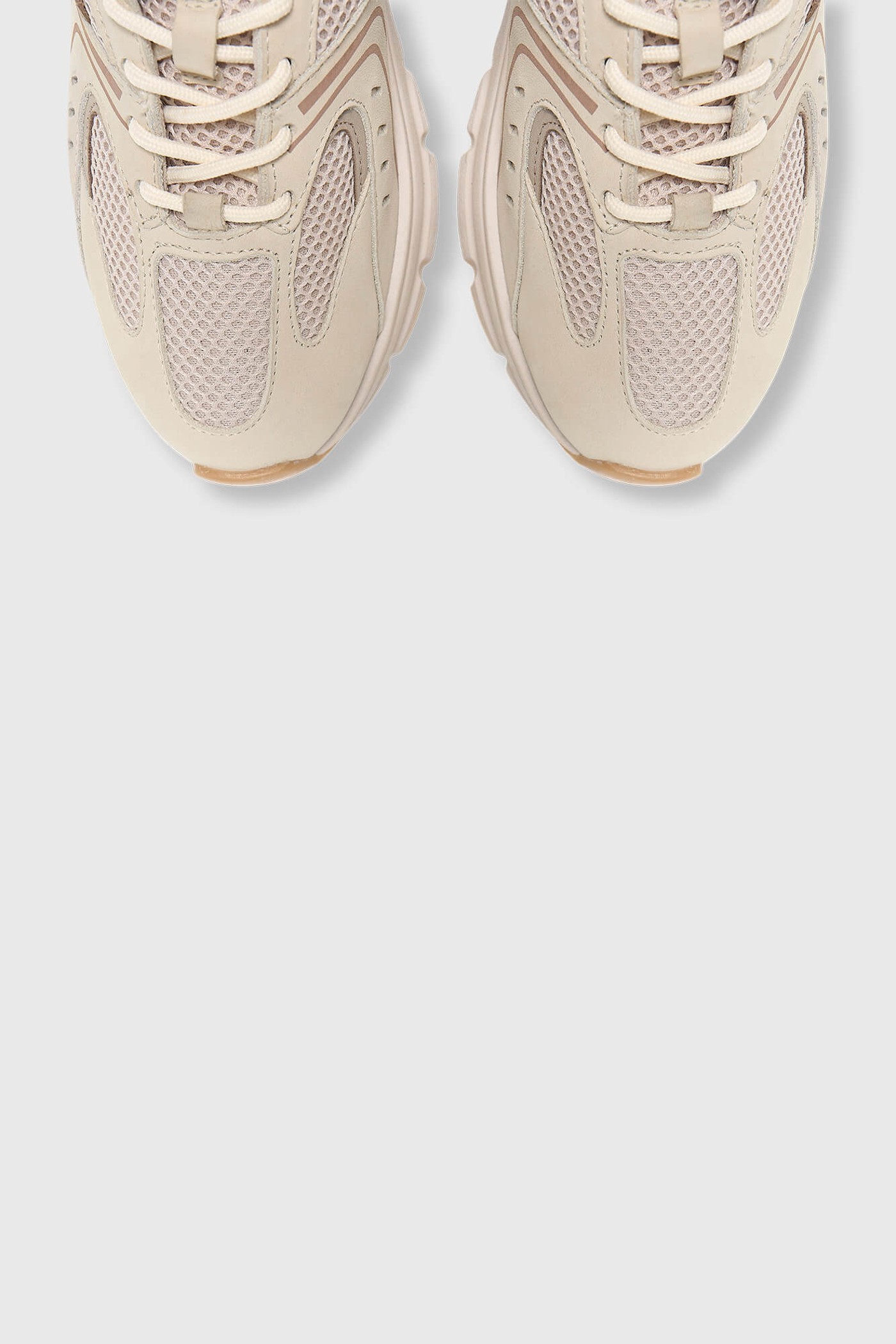 Bolt Camel 553 Suede