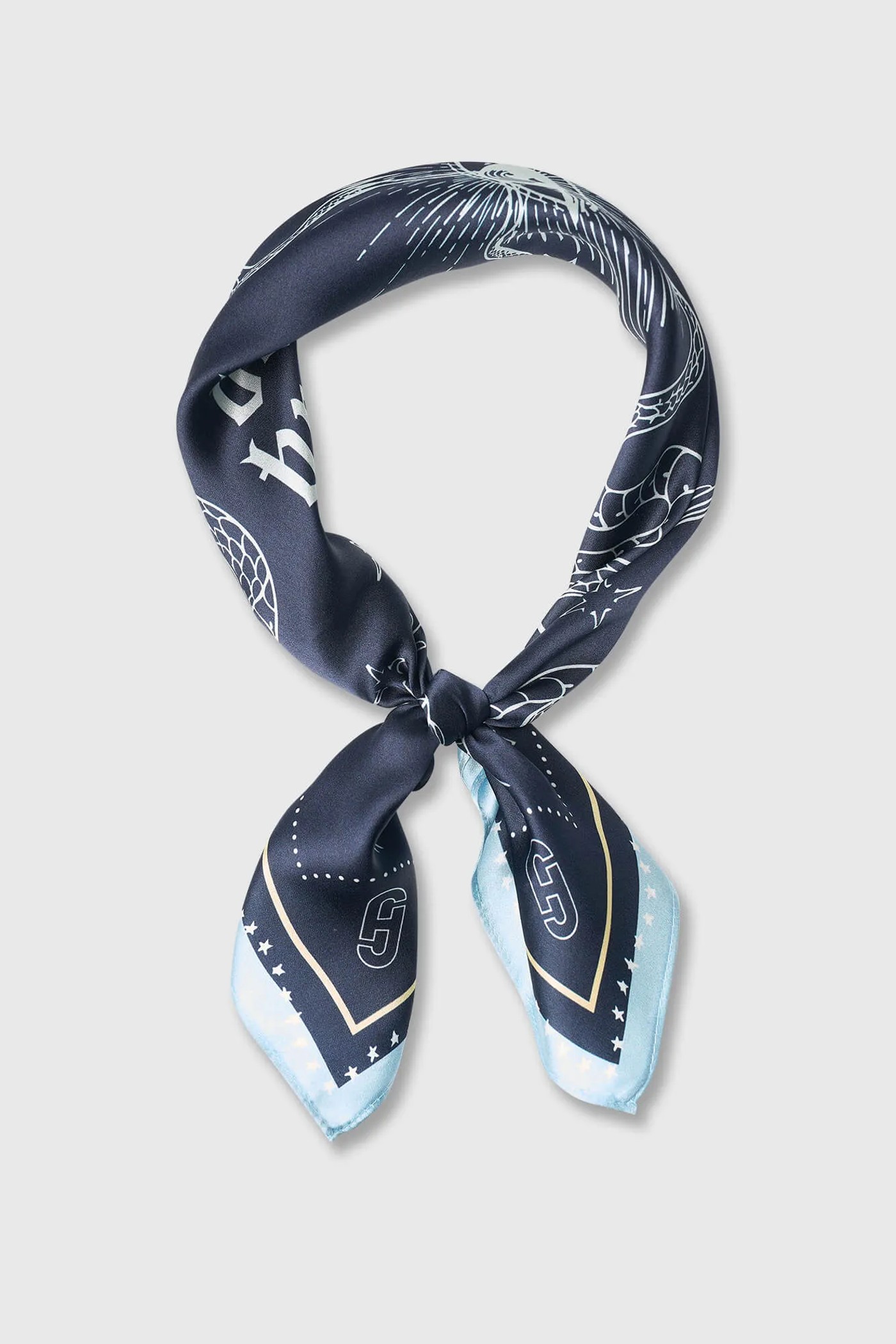 Zijden Sjaal Dames Print Effron Blauw